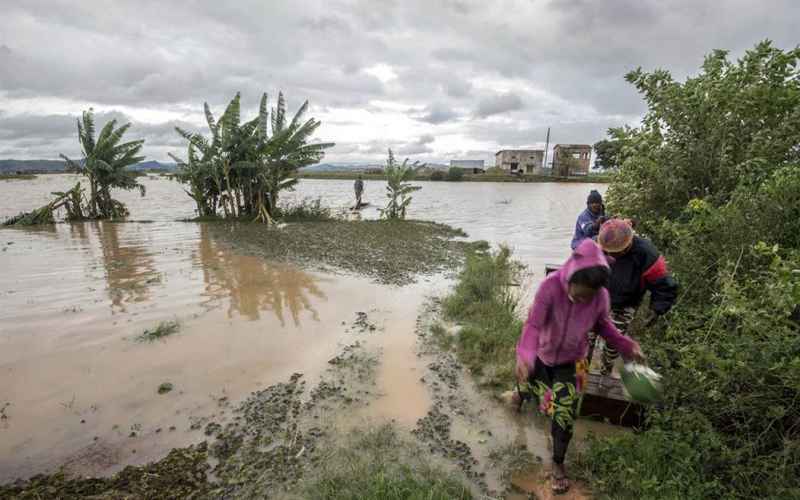  Leaping Leeches Loom Large in Madagascar