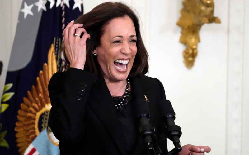  Kamala Harris’ Scoff at Idea of Terrorists Crossing Border Reveals Dangerous Level of Incompetence