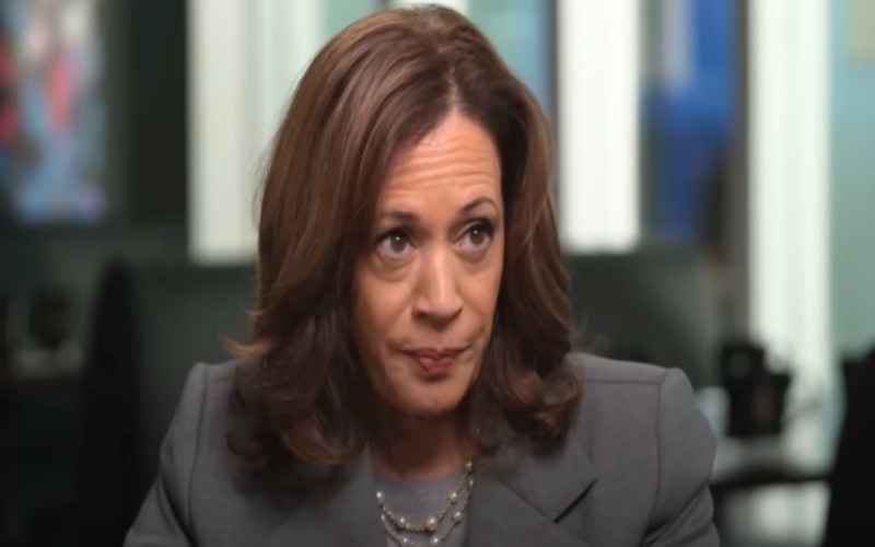  Kamala Harris Finally Sits Down for an Interview With CNN, Says Her Views ‘Have Not Changed’
