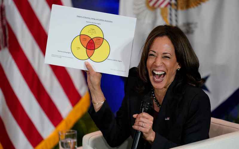  Gen Z Not As ‘Stupid’ As Kamala Thinks They’re Not Buying ‘Popularity Contest’ Dems Trying to Sell