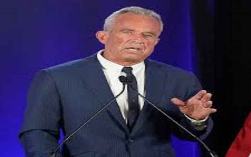  Kudlow RFK Endorsement Killed Harris Convention Bounce