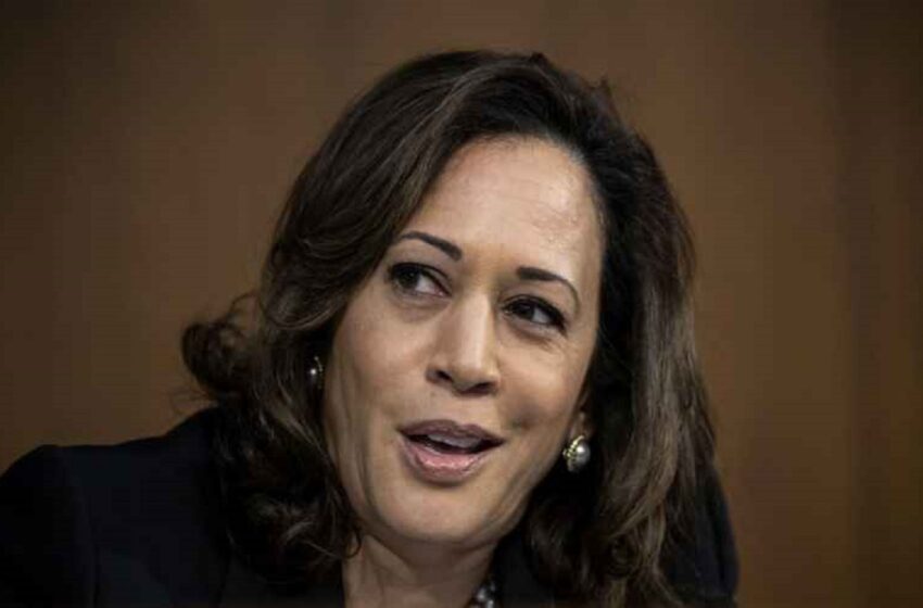  ‘Strange Days’Elon Musk Shares Video Exposing Just How Bad Kamala Harris Was As a Candidate in 2019