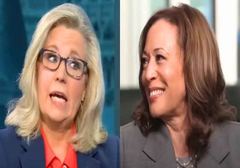  Liz Cheney Praises Kamala Harris for DNC Speech ‘Reagan Could Have Given’