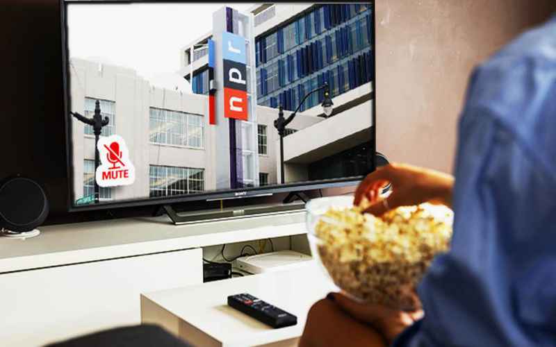  Congressional Hearing on Funding Public Broadcasting Could Use a Grant From the Common Sense