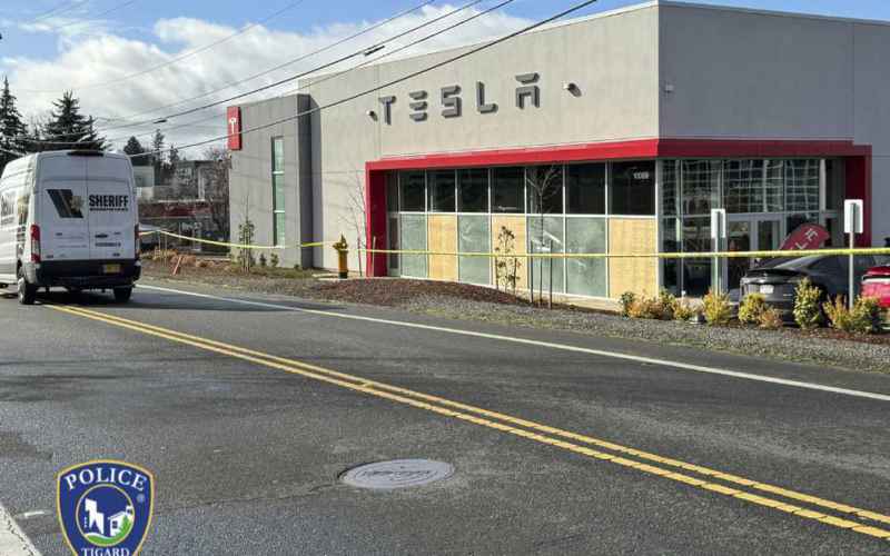  ‘Elon Derangement Syndrome’ Gets Taken Up a Notch As Leftists Launch Site Targeting Tesla Owners