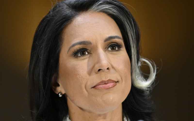  WATCH MSNBC Forced to Give On-Air Corrections After False Reporting on Gabbard, Trump