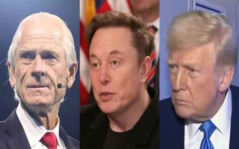 Elon Musk Swipes at Trump Trade Advisor Peter Navarro Amid Latest Tariffs
