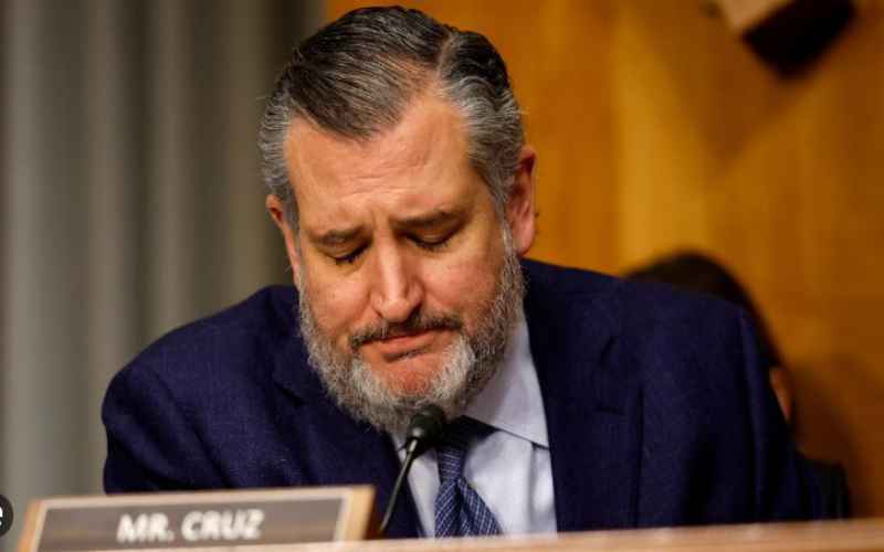 MAGA Blasts Cruz Over Trump Tariff Comments ‘We Will Primary You’