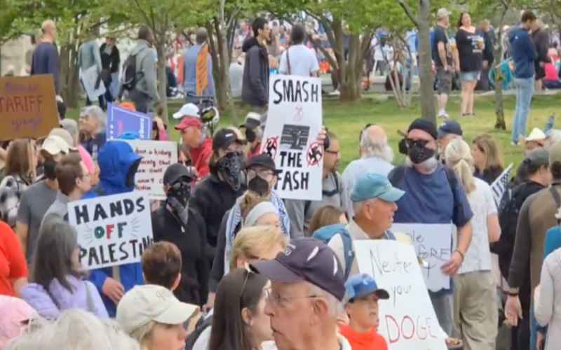  Anti-DOGE Protesters Gather in DC to Speak Out Against