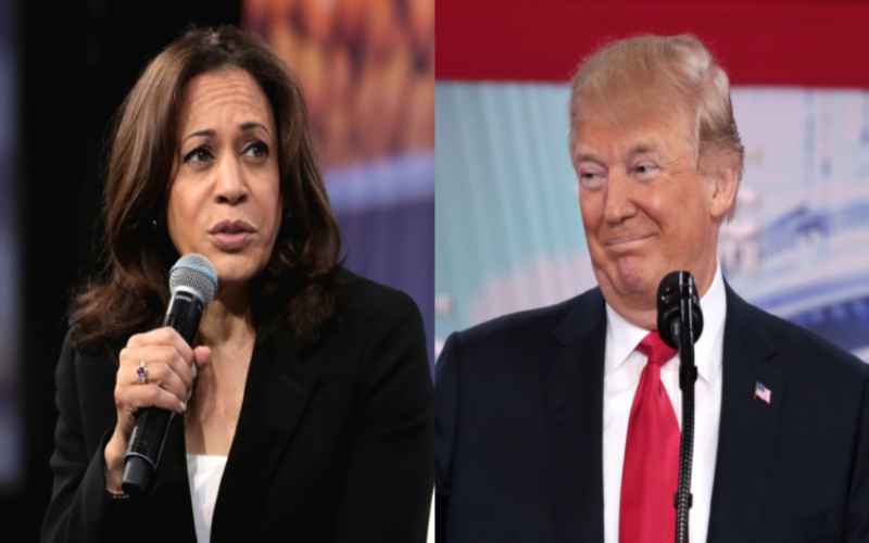  Kamala Harris Was ‘Shocked’ by 2024 Election Results Report