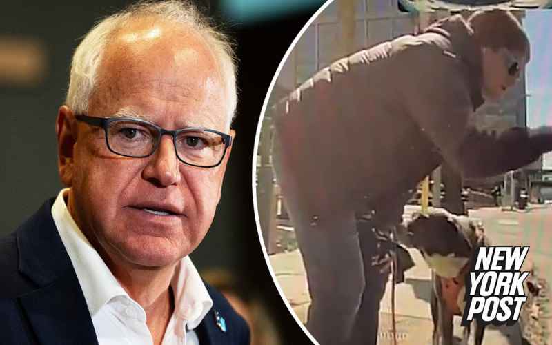  Tim Walz Employee Arrested for Allegedly Vandalizing Several Teslas
