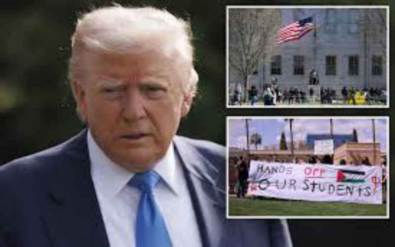  Trump Admin Pauses Termination of Visas for Foreign Students Flagged